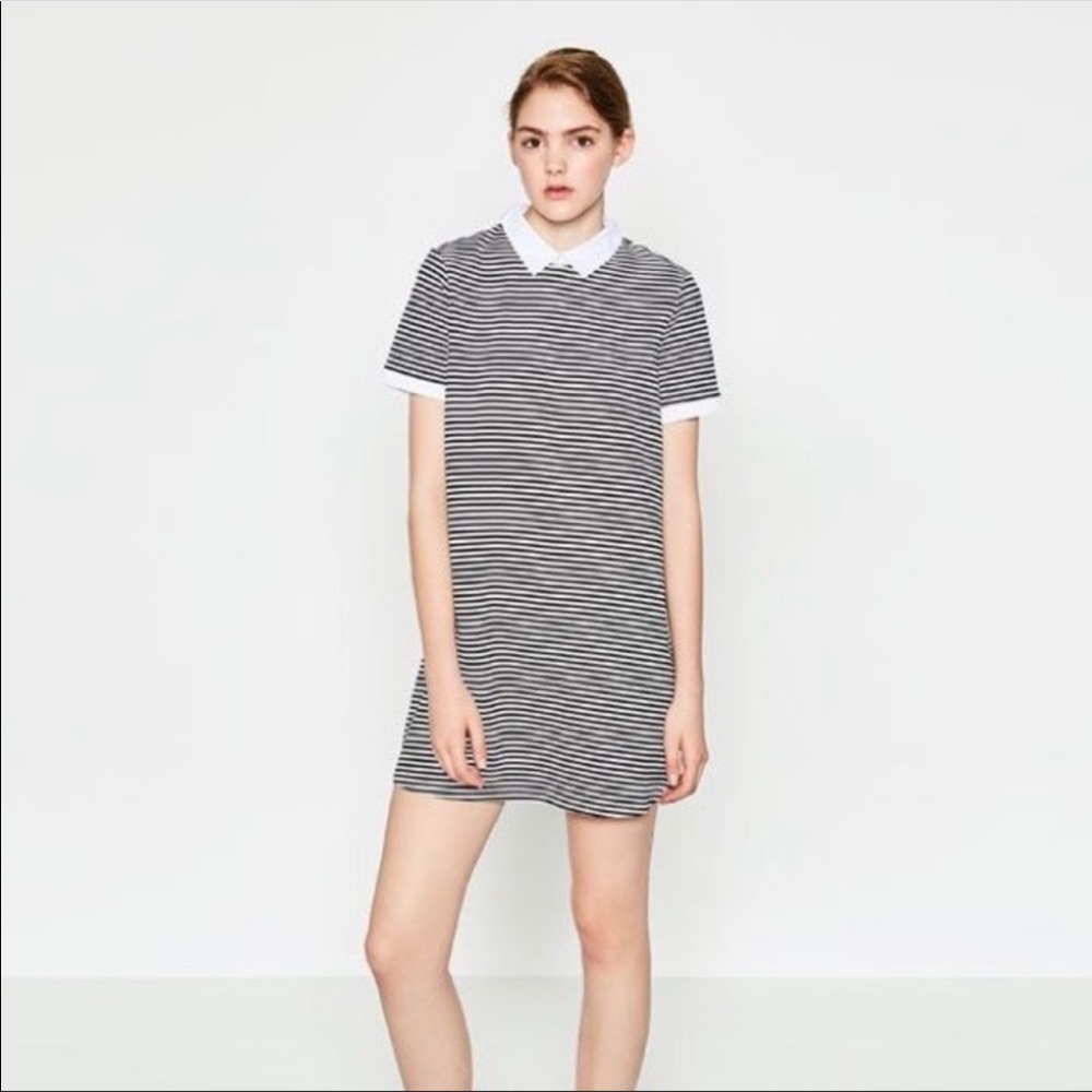 Zara | Striped Poplin Collar Shift Dress Small